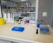 Molecular Laboratory